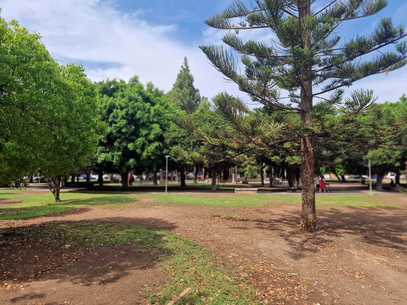 For sale - 3 Bedroom 1 Bathroom Apartment in Torrevieja - Costa Blanca  - Alicante