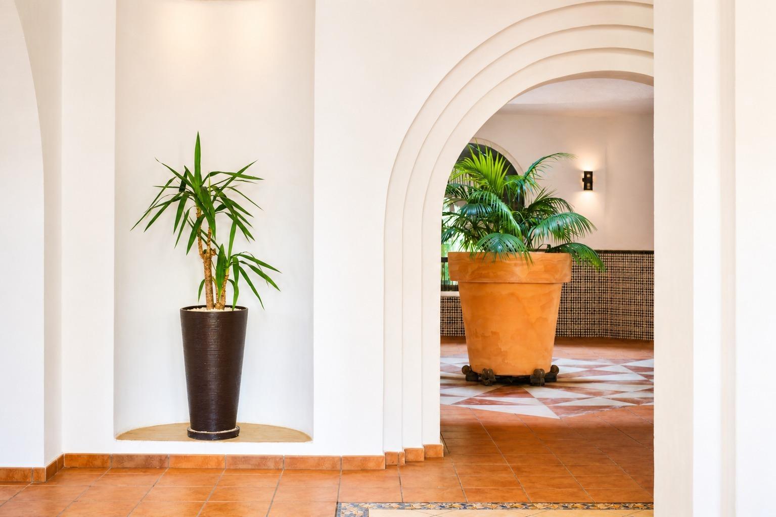 For sale - 3 Bedroom 2 Bathroom Apartment in Torrevieja - Los Frutales  - Alicante