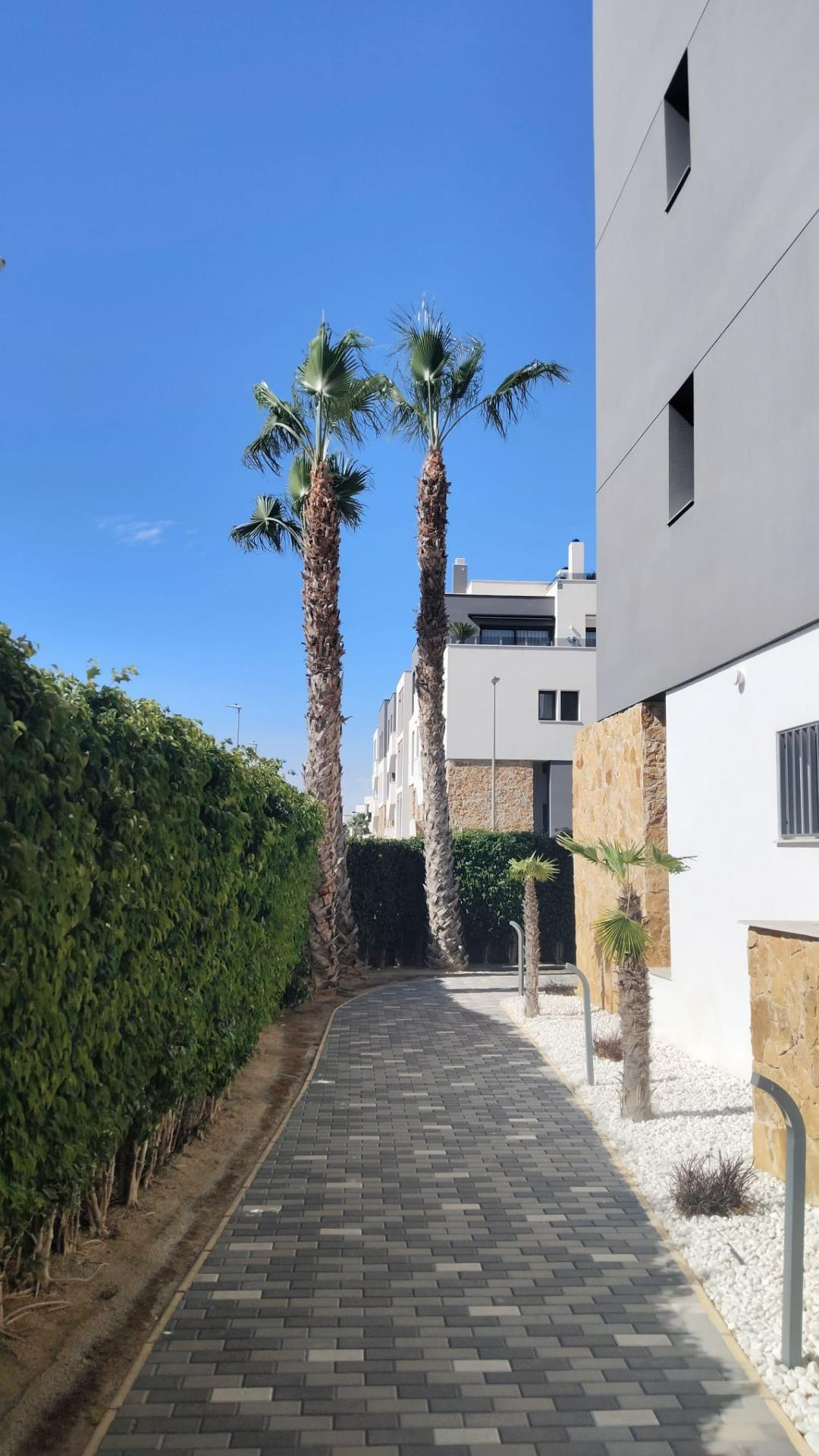 For sale - 2 Bedroom 2 Bathroom Apartment in Orihuela Costa - Pau 8  - Alicante