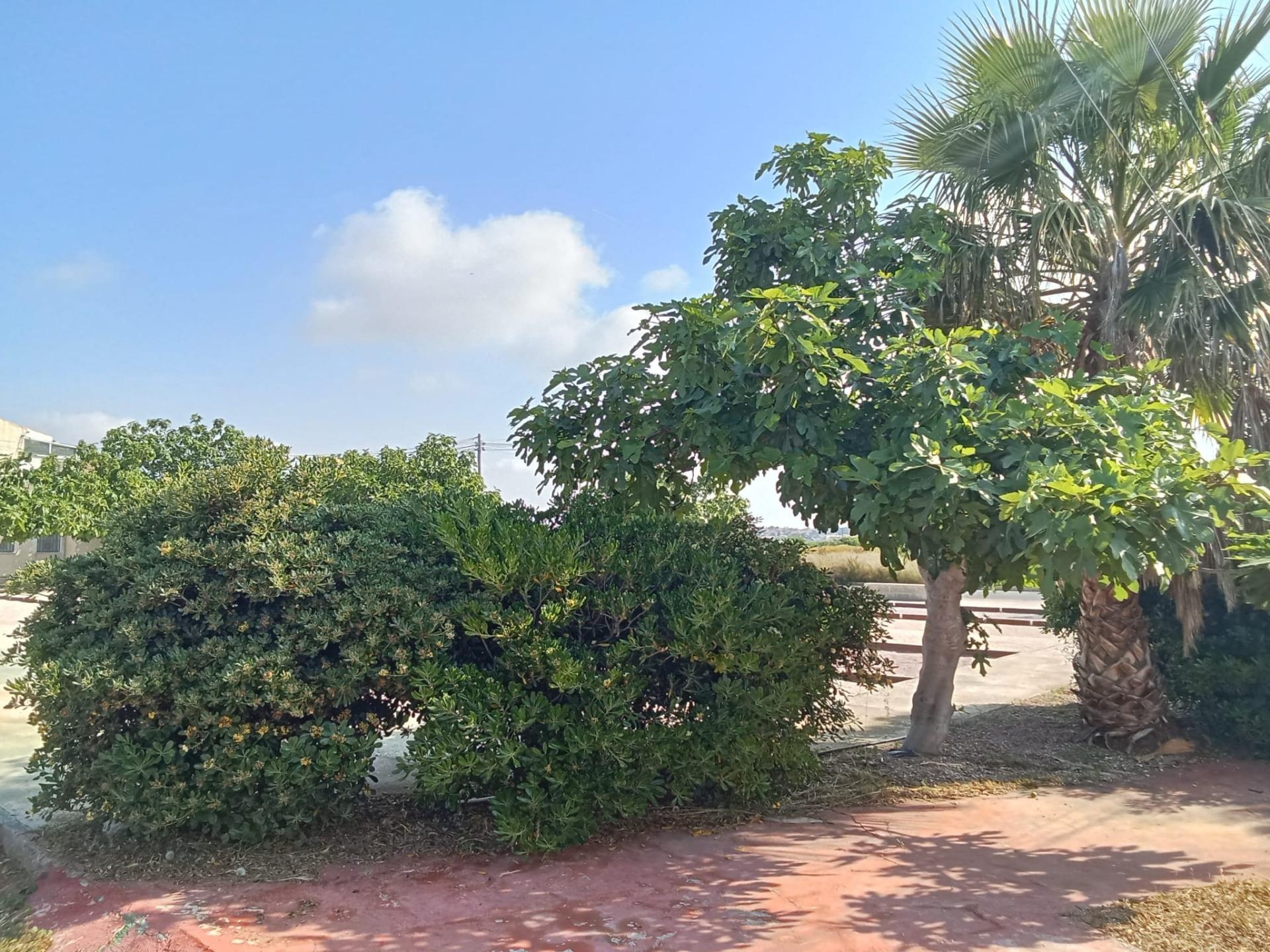 For sale - 2 Bedroom 1 Bathroom Bungalow in Torrevieja - Torretas  - Alicante