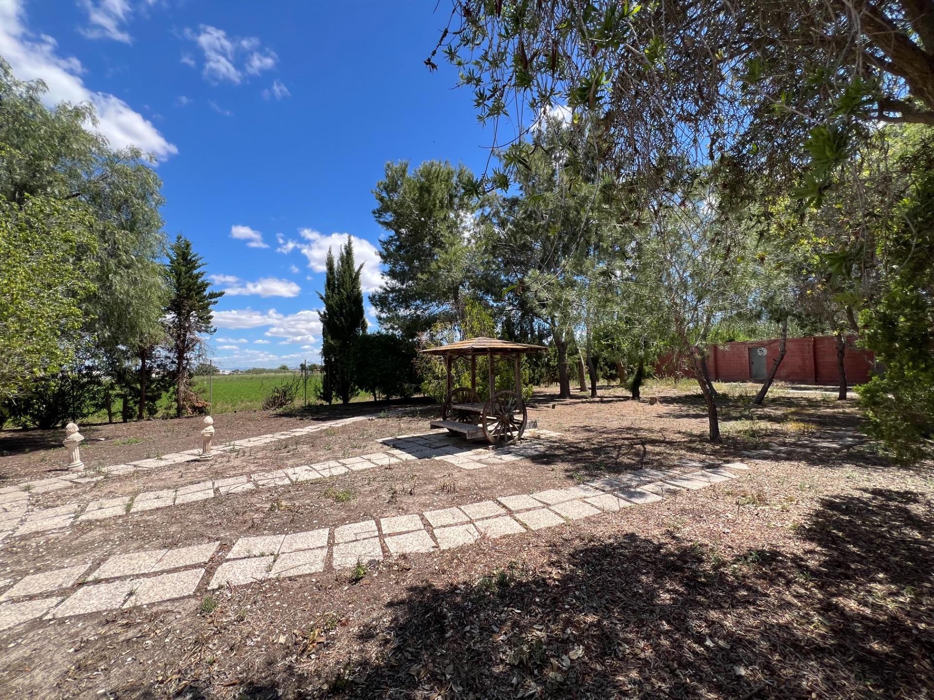 For sale - 4 Bedroom 1 Bathroom Finca in Dolores - Comunidad Valenciana  - Alicante