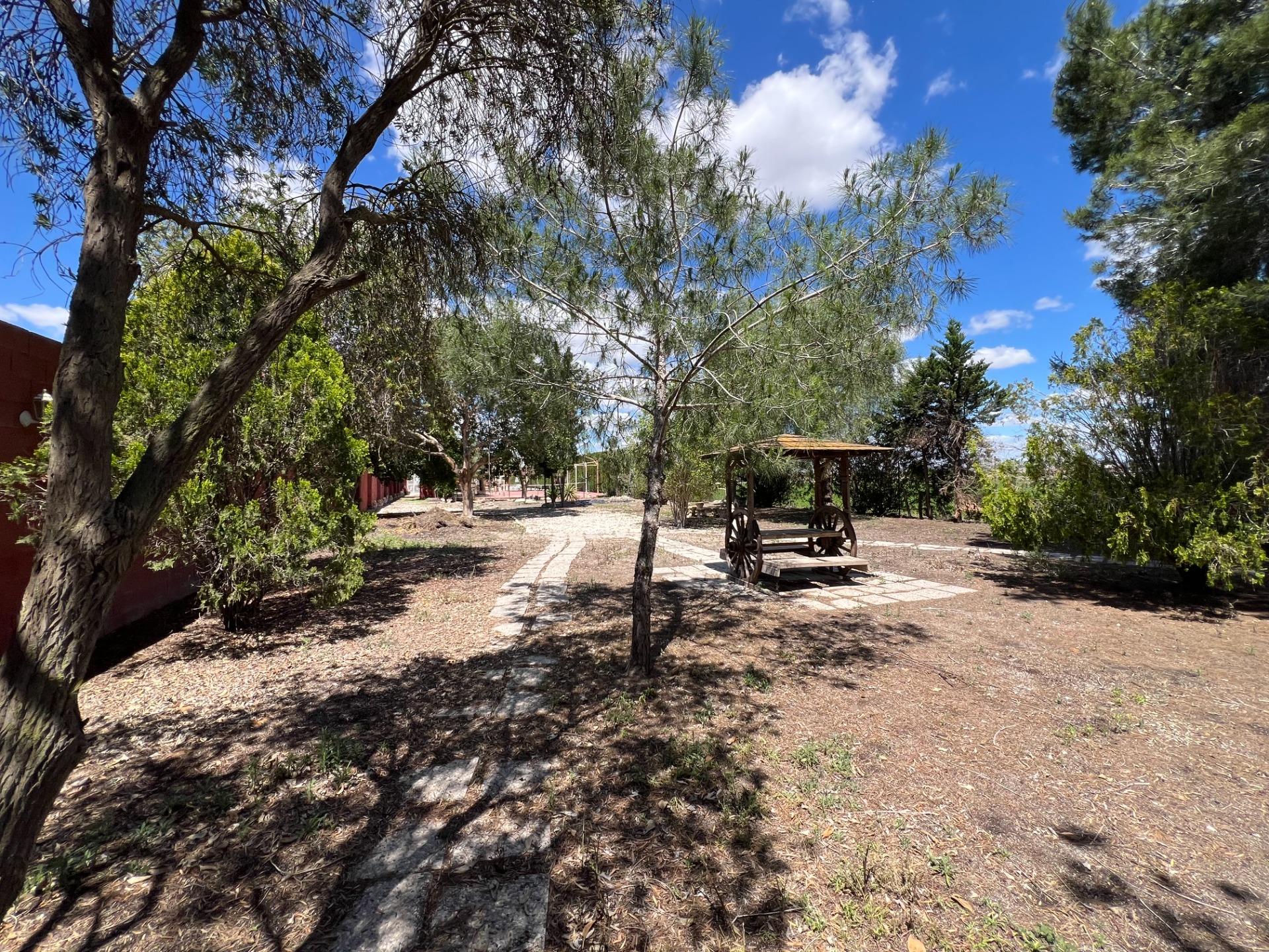For sale - 4 Bedroom 1 Bathroom Finca in Dolores - Comunidad Valenciana  - Alicante