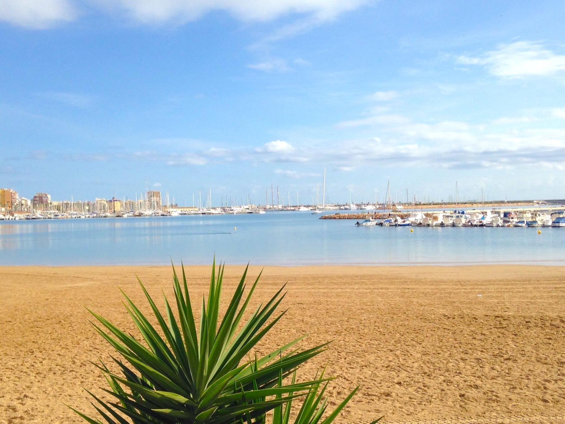 For sale - 2 Bedroom 2 Bathroom Apartment in Torrevieja - El Acequión - Los Náufragos  - Alicante