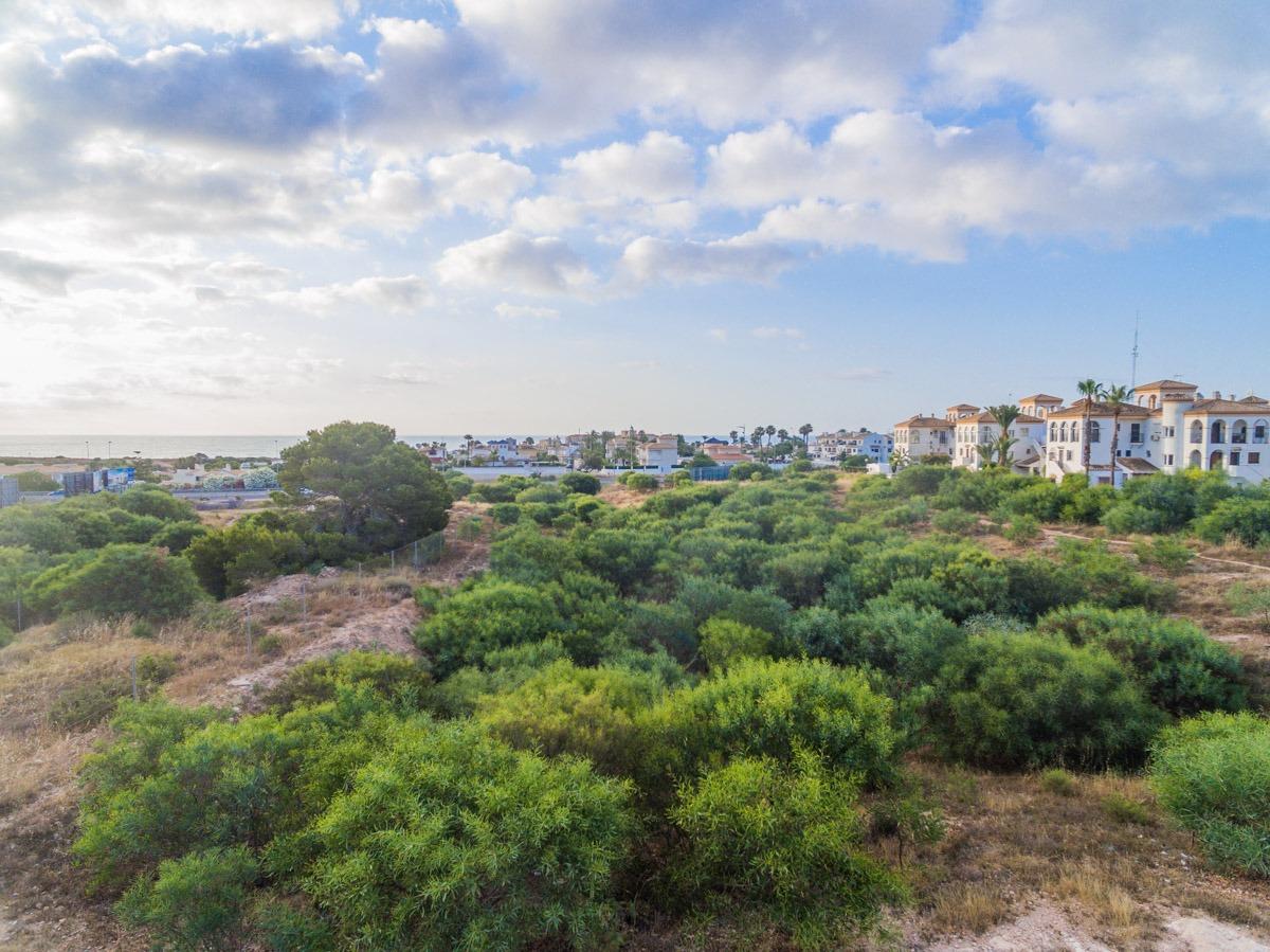 For sale - 2 Bedroom 2 Bathroom Flat in Playa Flamenca - Playa Flamenca  - Alicante
