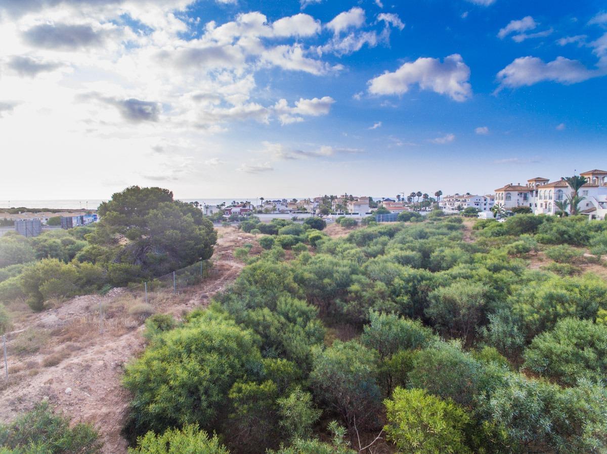 For sale - 2 Bedroom 2 Bathroom Flat in Playa Flamenca - Playa Flamenca  - Alicante