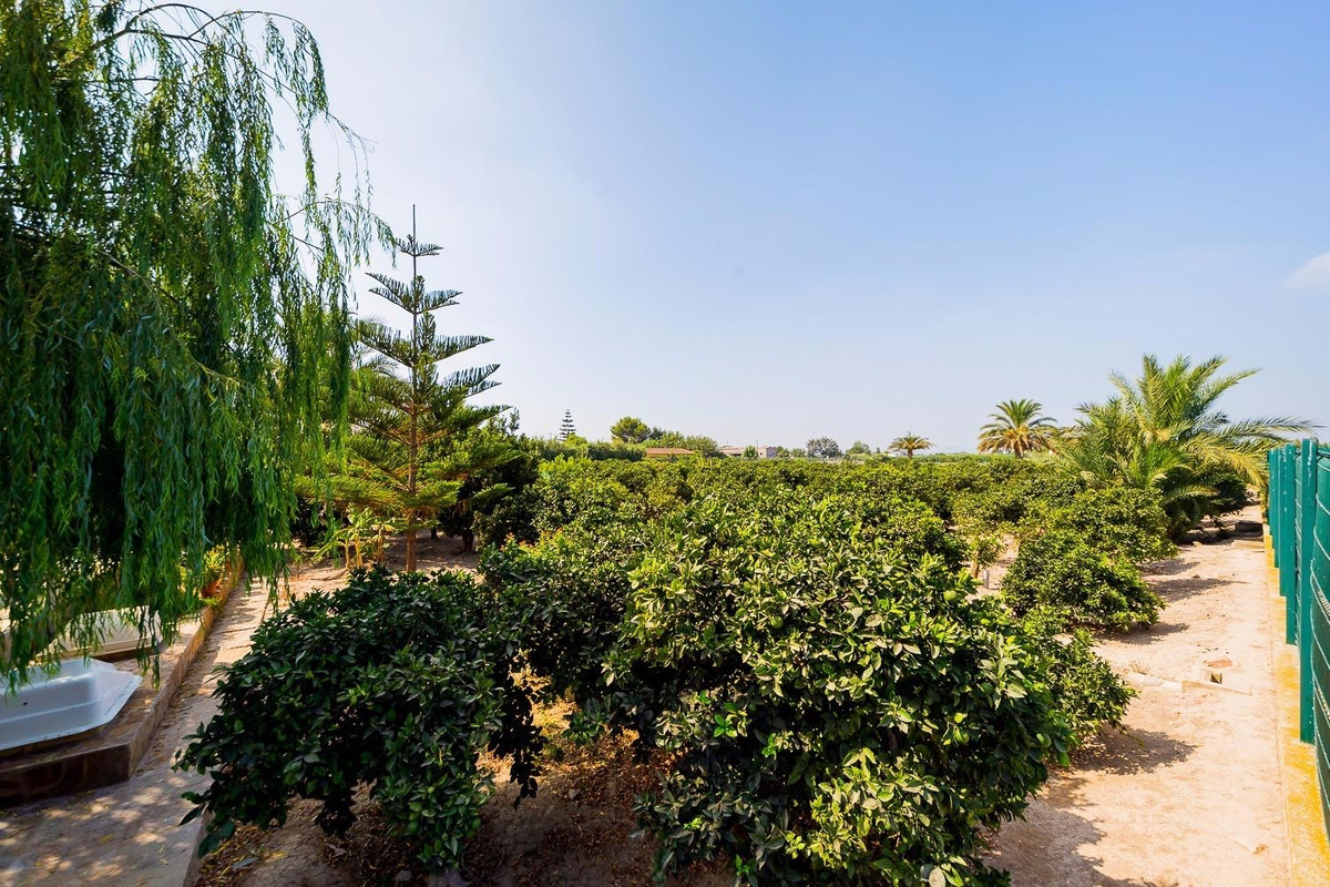 For sale - 5 Bedroom 5 Bathroom House - Finca - Cortijo in Almoradi - Almoradi Centro  - Alicante