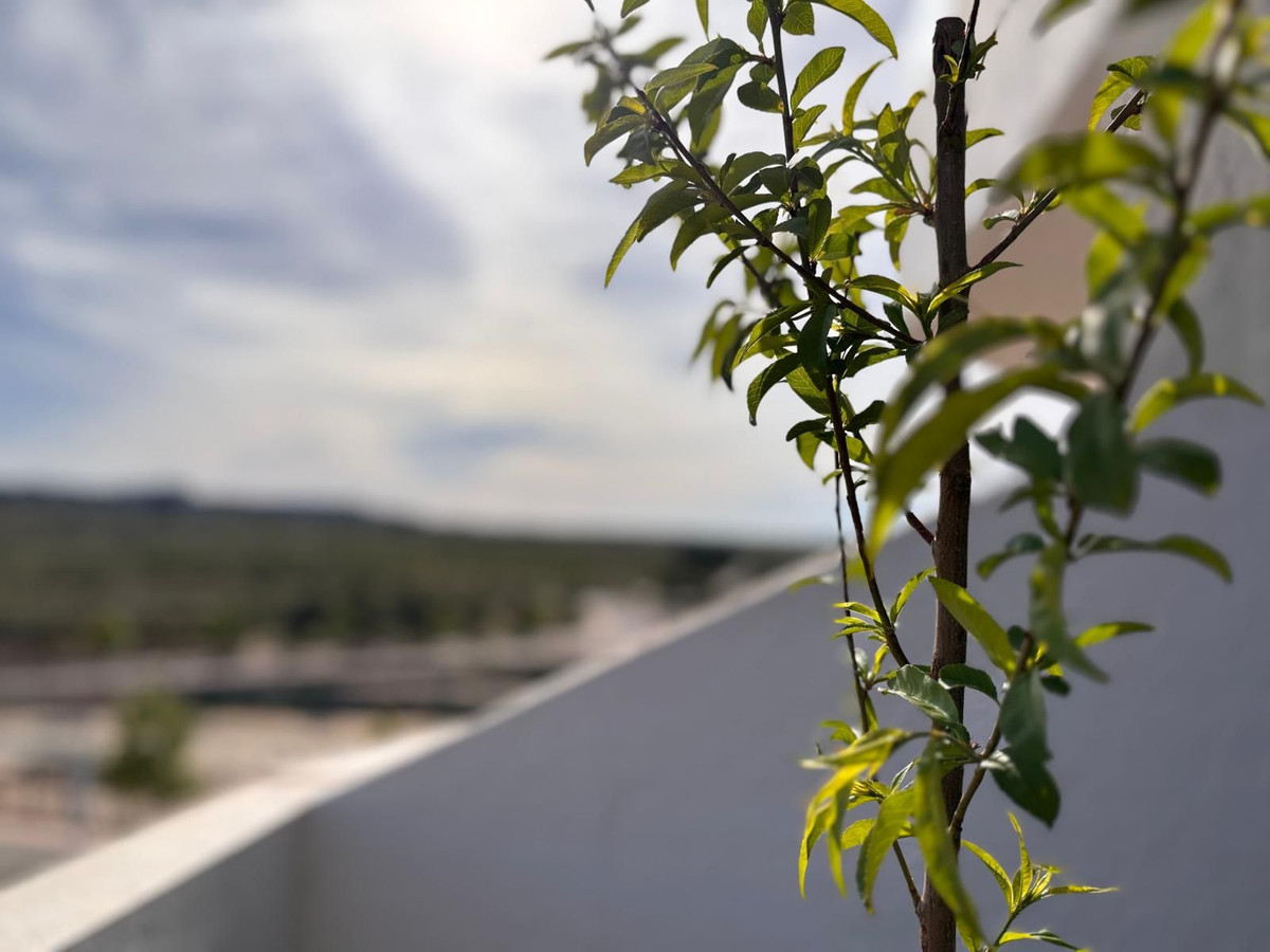 For sale - 2 Bedroom 2 Bathroom Apartment - Middle Floor Apartment in San Miguel de Salinas - San Miguel  - Alicante