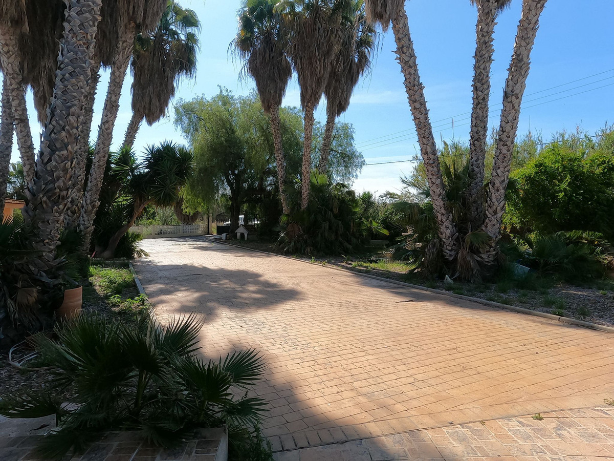 For sale - 4 Bedroom 2 Bathroom House - Detached Villa in Dolores - Dolores Centro  - Alicante