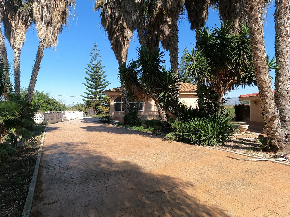 For sale - 4 Bedroom 2 Bathroom House - Detached Villa in Dolores - Dolores Centro  - Alicante