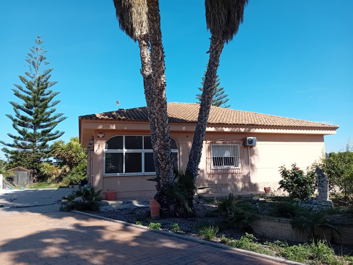 For sale - 4 Bedroom 2 Bathroom House - Detached Villa in Dolores - Dolores Centro  - Alicante