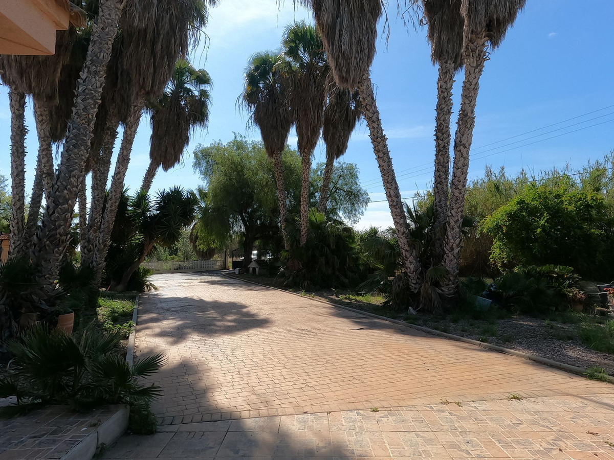 For sale - 4 Bedroom 2 Bathroom House - Detached Villa in Dolores - Dolores Centro  - Alicante