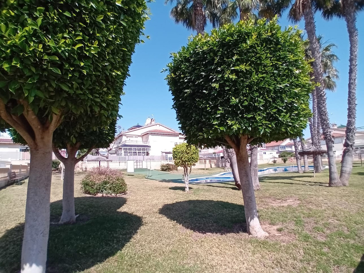 For sale - 2 Bedroom 1 Bathroom Apartment - Ground Floor Apartment in Orihuela - Playa Flamenca  - Alicante