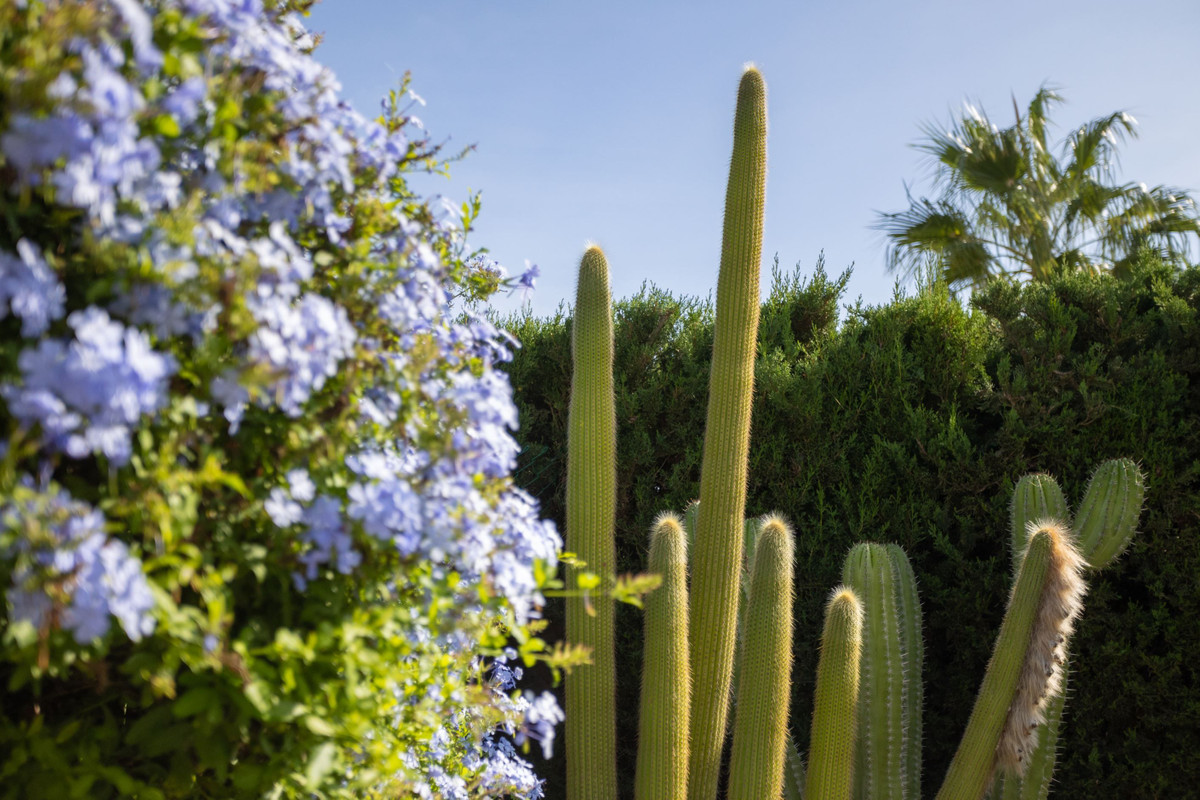 For sale - 3 Bedroom 2 Bathroom House - Detached Villa in Cartagena - Playa Honda  - Murcia