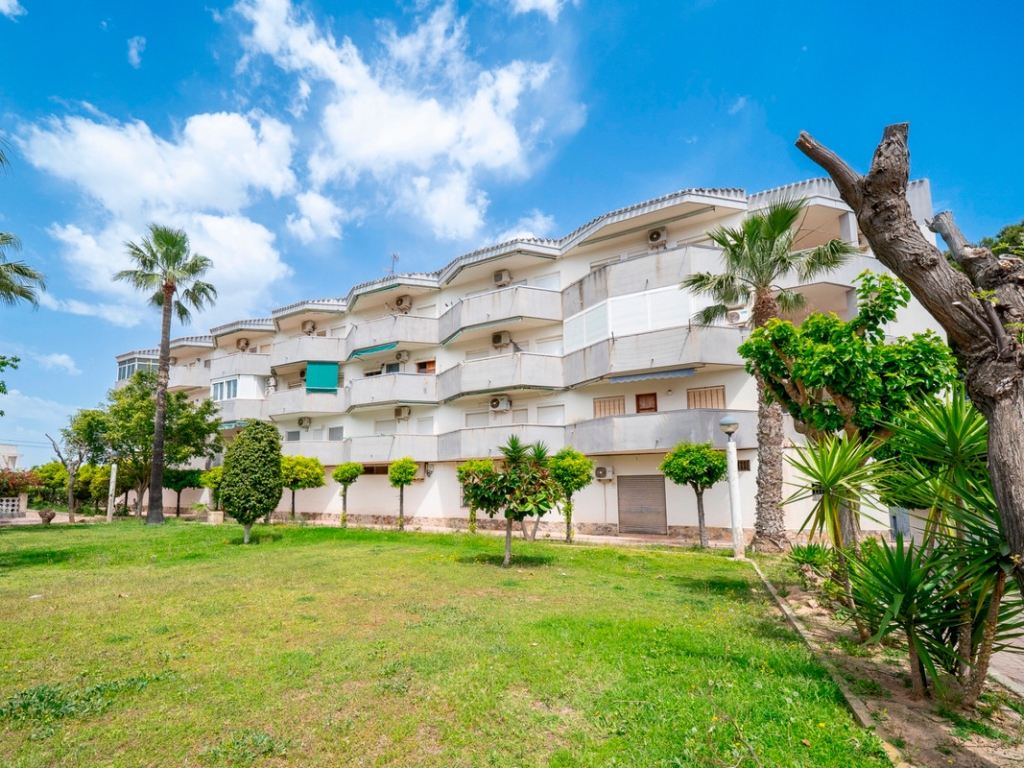 1 Bedroom 1 Bathroom Apartment - Middle Floor Apartment in Orihuela