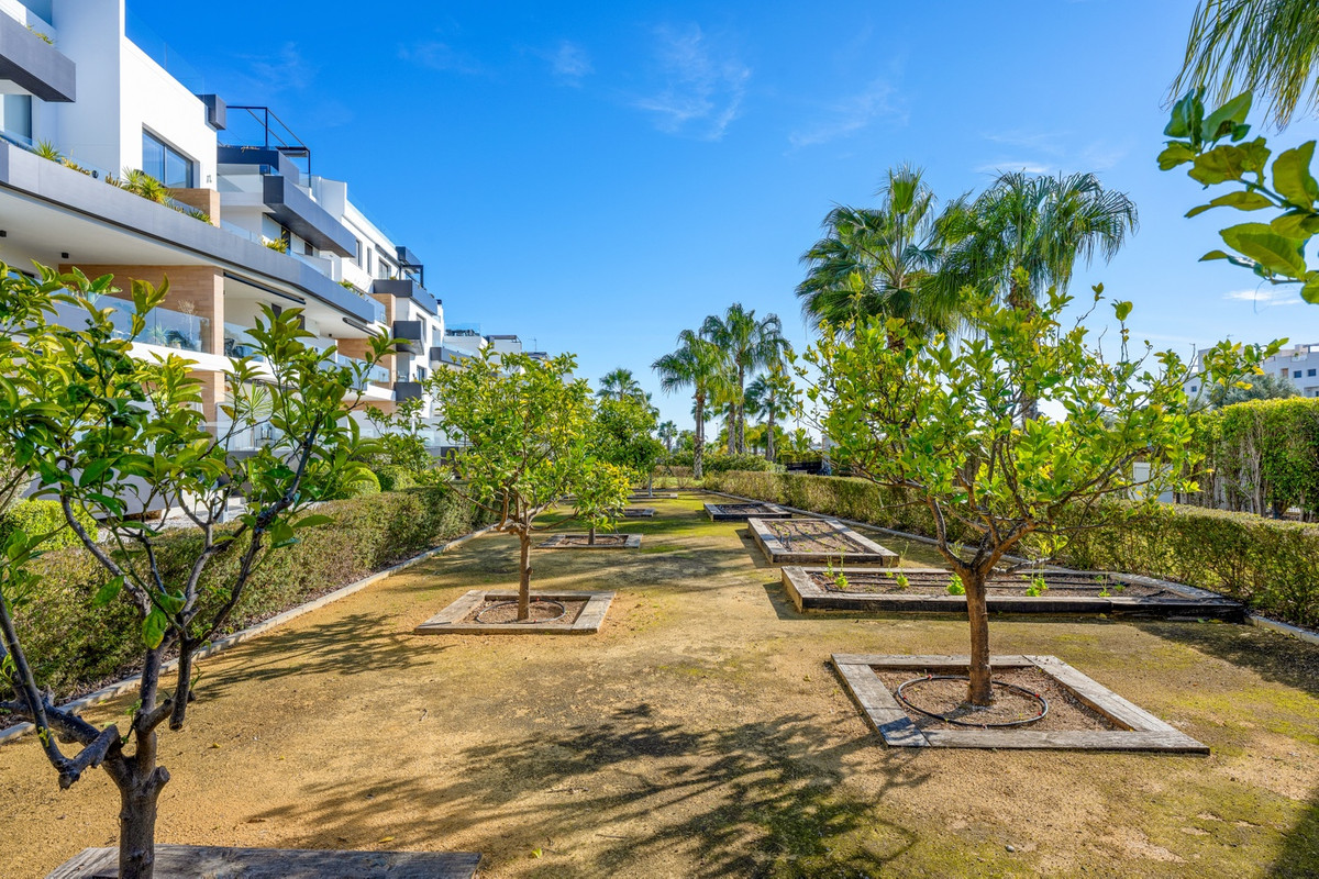 For sale - 3 Bedroom 2 Bathroom Apartment - Penthouse in Orihuela - Villamartin  - Alicante