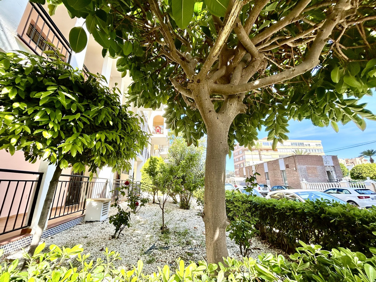 For sale - 1 Bedroom 1 Bathroom Apartment - Middle Floor Apartment in Torrevieja - Torrevieja Centro  - Alicante