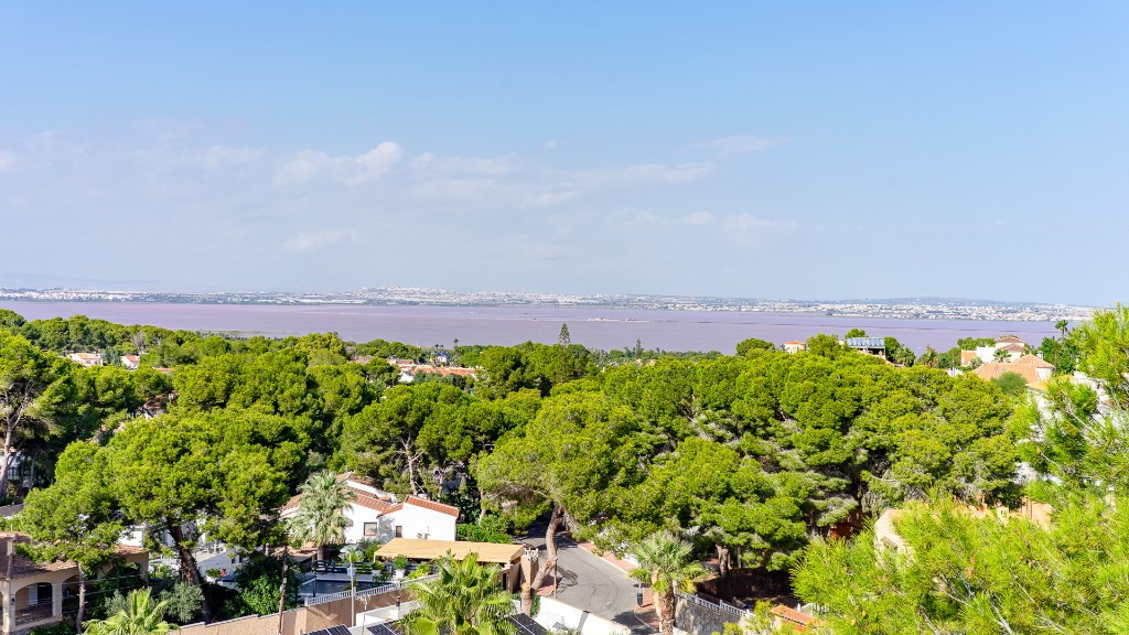 For sale - 6 Bedroom 3 Bathroom Villa in Los Balcones - Los Balcones  - Alicante