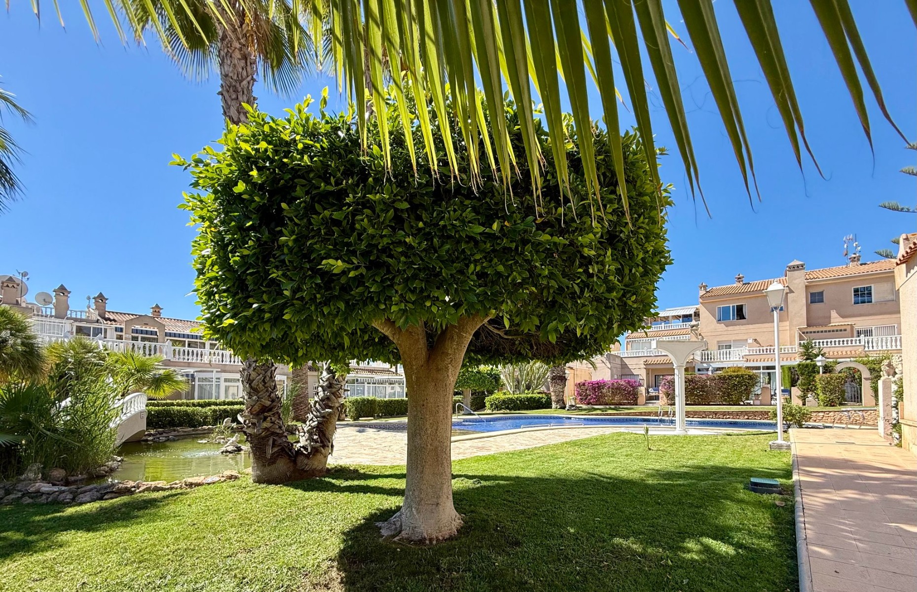 For sale - 2 Bedroom 1 Bathroom Property in Playa Flamenca - Playa Flamenca  - Alicante