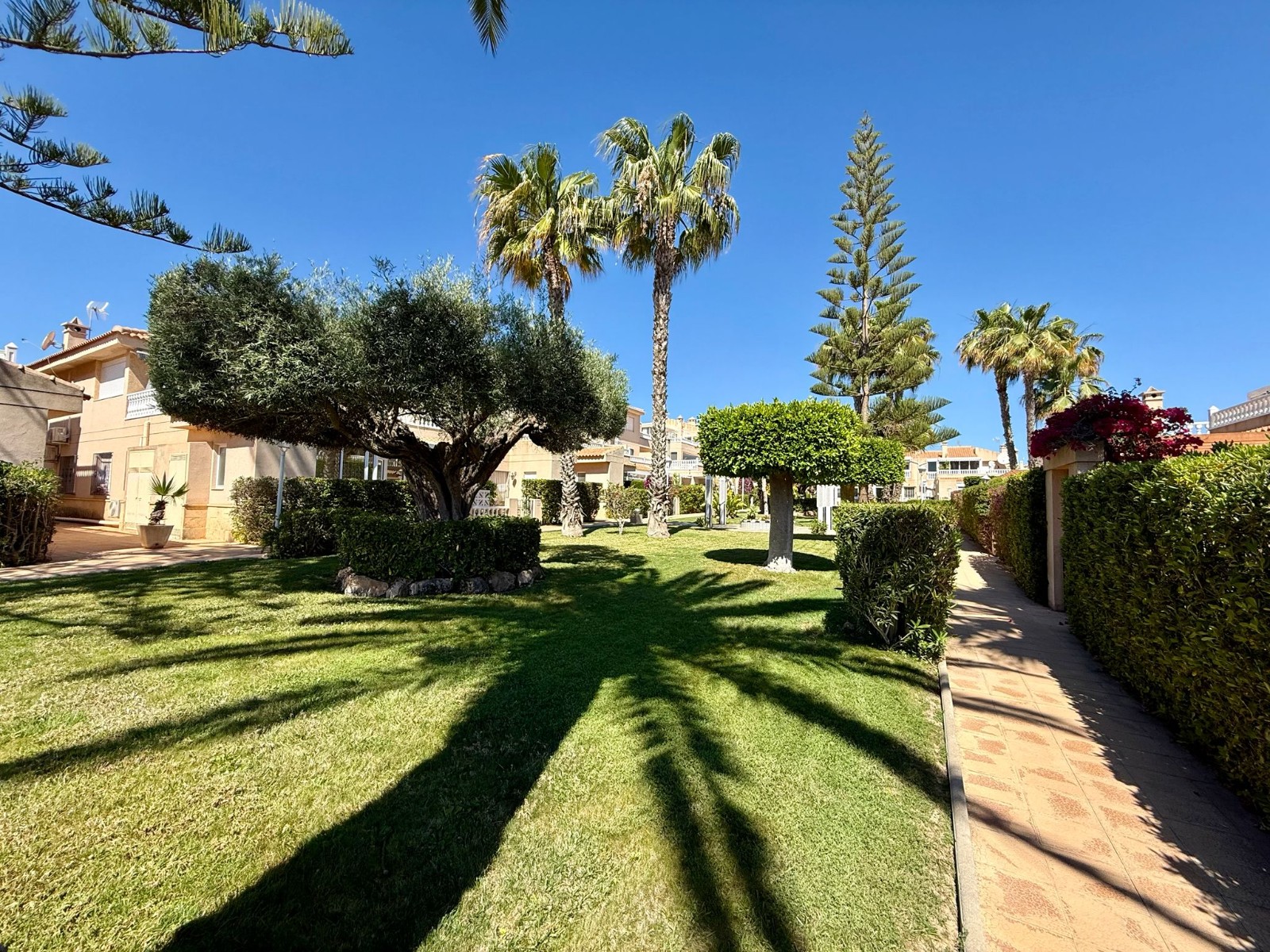 For sale - 2 Bedroom 1 Bathroom Property in Playa Flamenca - Playa Flamenca  - Alicante