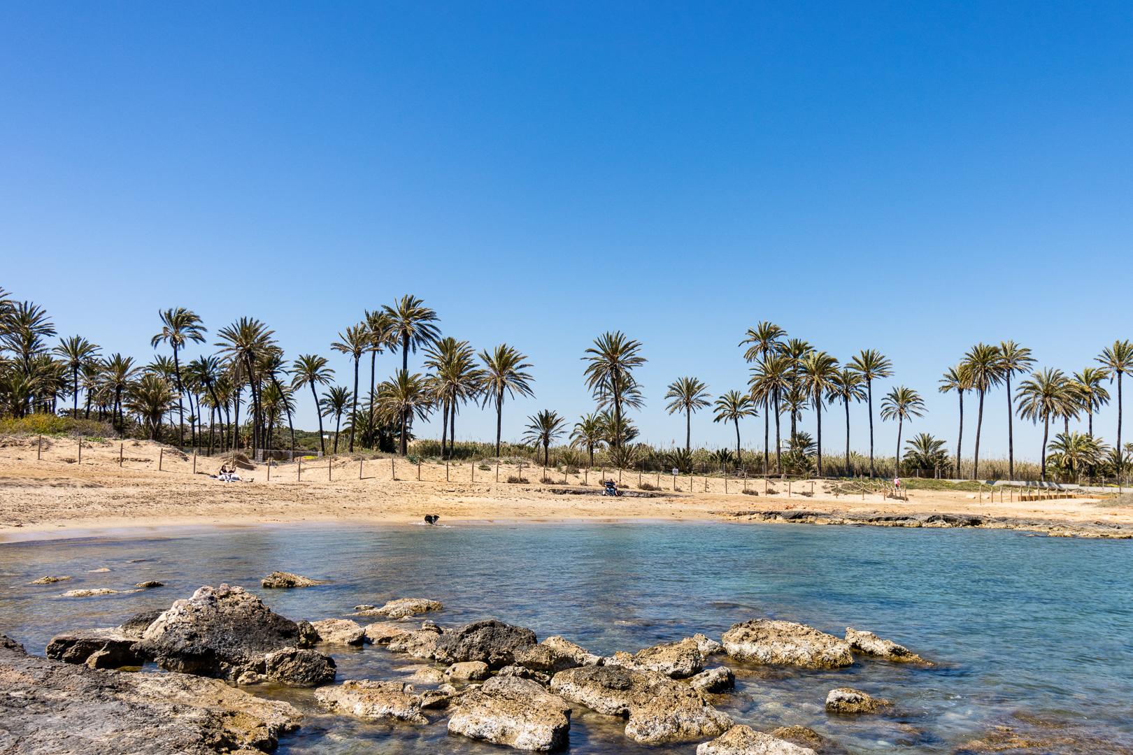 Sold - SOLD-2 Bedroom 1 Bathroom Ground Floor apartment in Torrevieja - playa de los naufragos  - Alicante
