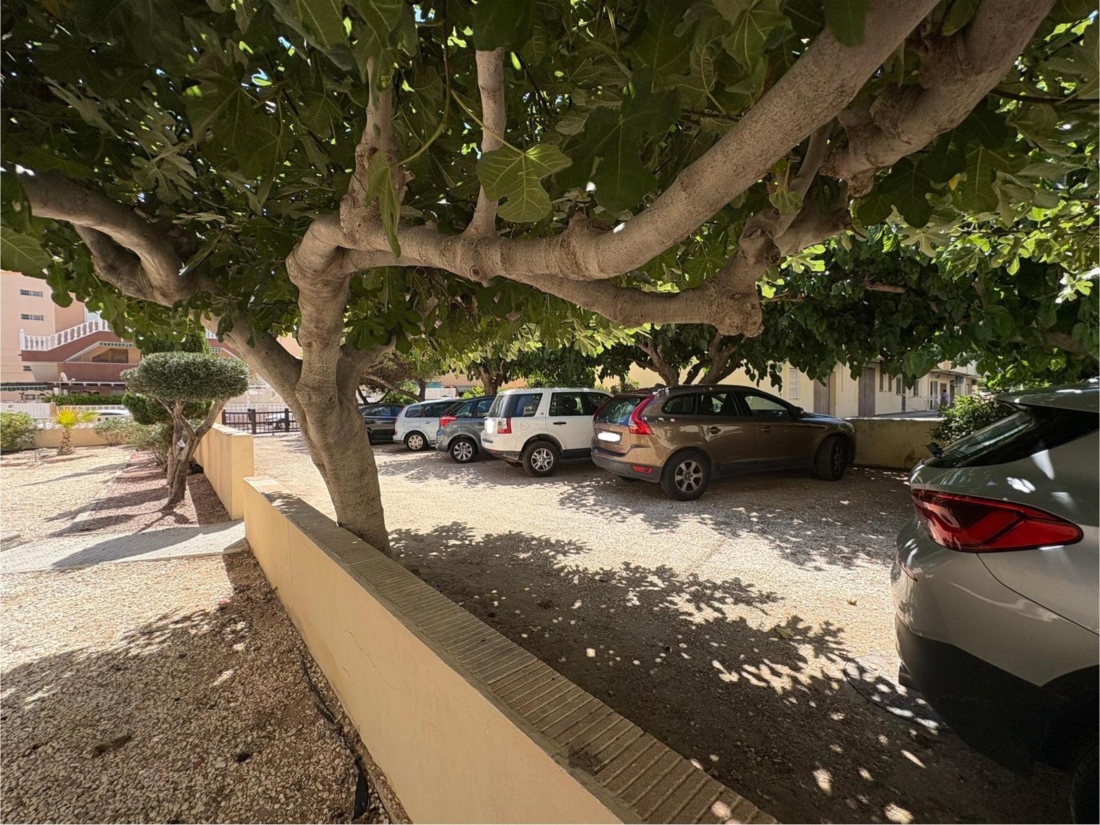 For sale - 2 Bedroom 1 Bathroom Apartament in La Mata - LA MATA  - Alicante