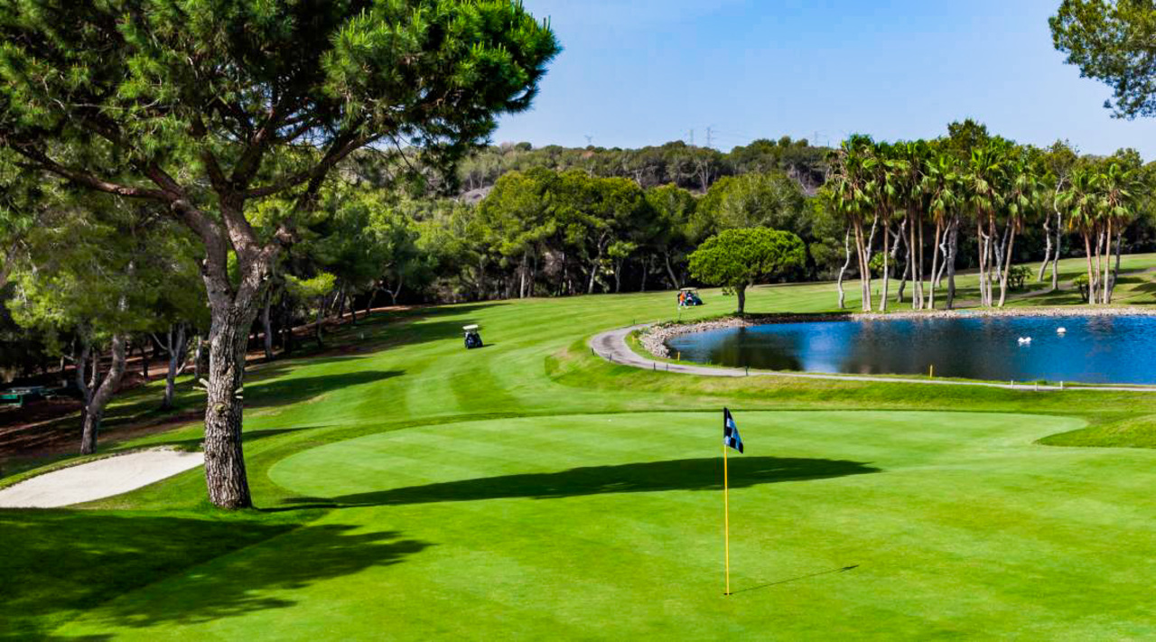For sale - 2 Bedroom 1 Bathroom Apartment in Lomas de Cabo Roig - , Lomas de Cabo Roig, Alicante, Spain - Alicante