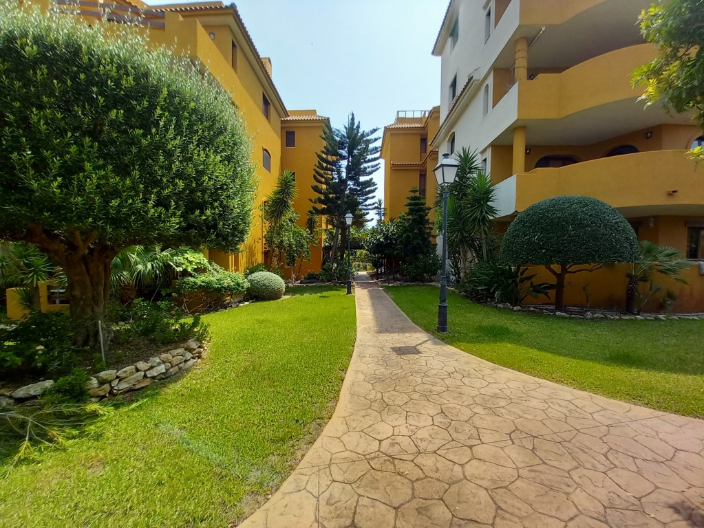 For sale - 2 Bedroom 1 Bathroom Penthouse in Punta Prima -  - Alicante