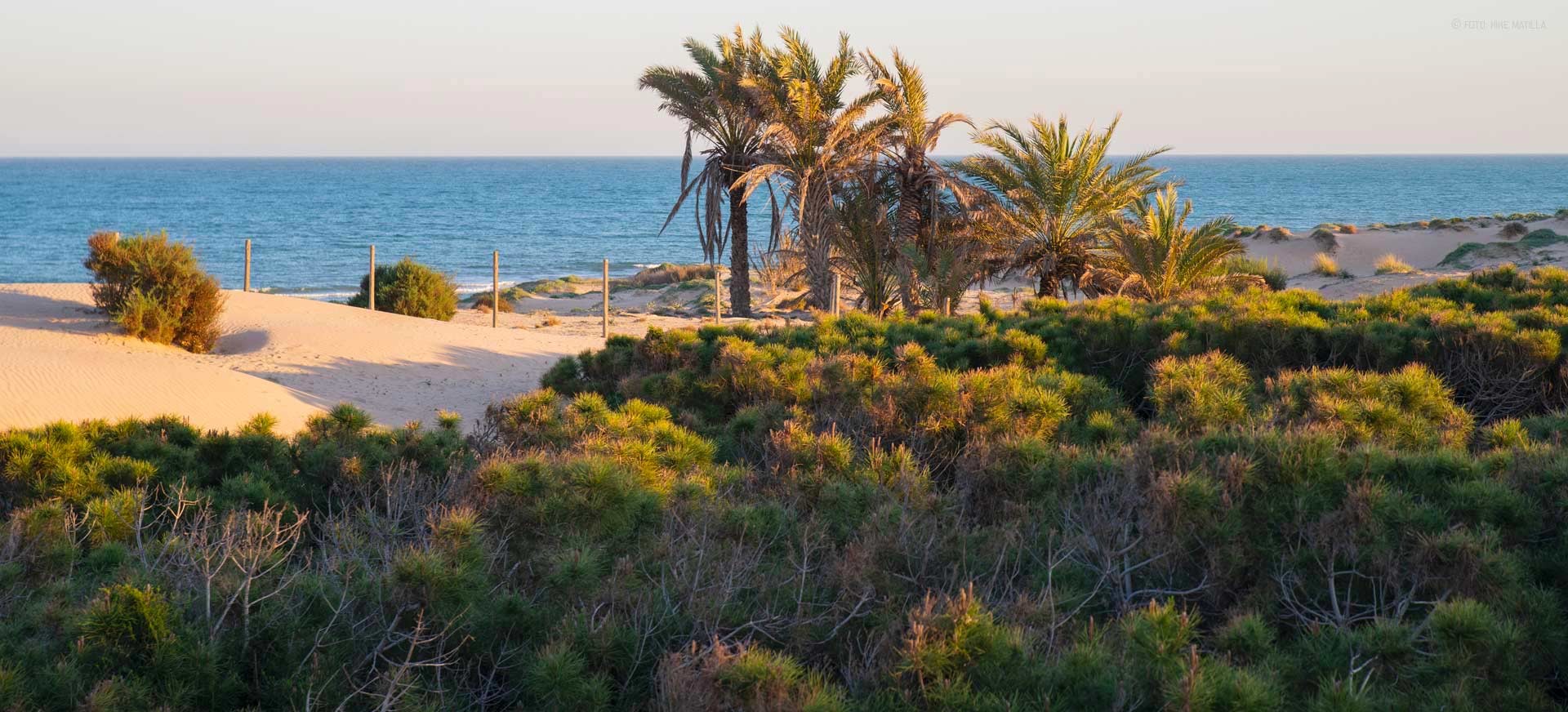For sale - 2 Bedroom 2 Bathroom Apartment in Guardamar del Segura - Costa Blanca  - Alicante