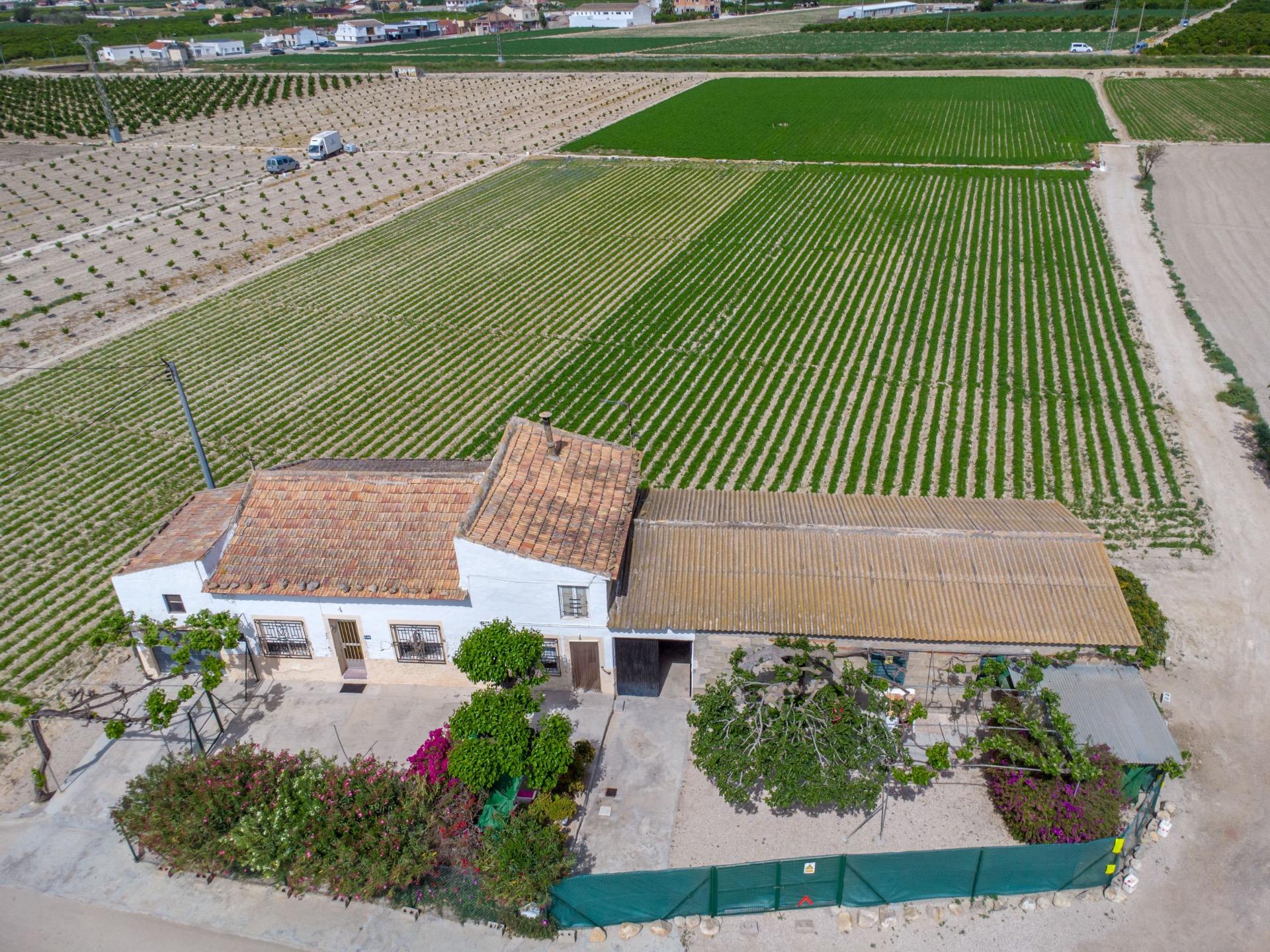 For sale - 3 Bedroom 1 Bathroom Country House in Torremendo - Desamparados-hurchillo-torremendo  - Alicante