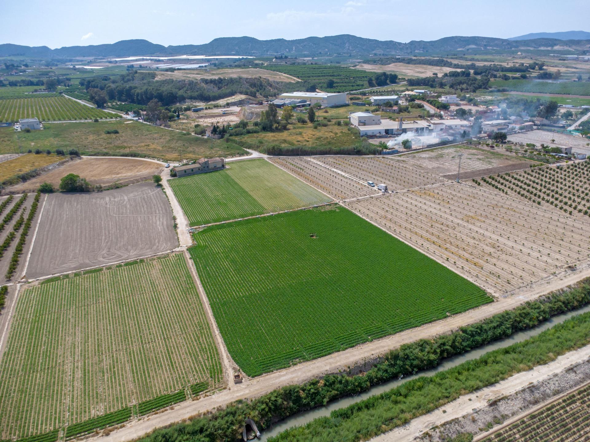 For sale - 3 Bedroom 1 Bathroom Country House in Torremendo - Desamparados-hurchillo-torremendo  - Alicante
