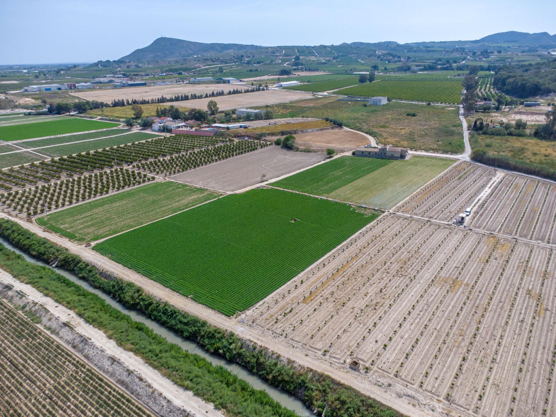 For sale - 3 Bedroom 1 Bathroom Country House in Torremendo - Desamparados-hurchillo-torremendo  - Alicante