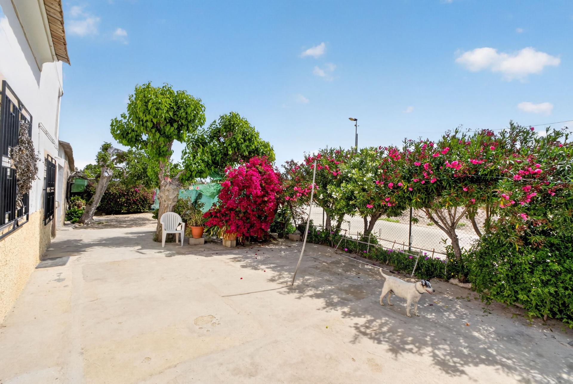For sale - 3 Bedroom 1 Bathroom Country House in Torremendo - Desamparados-hurchillo-torremendo  - Alicante