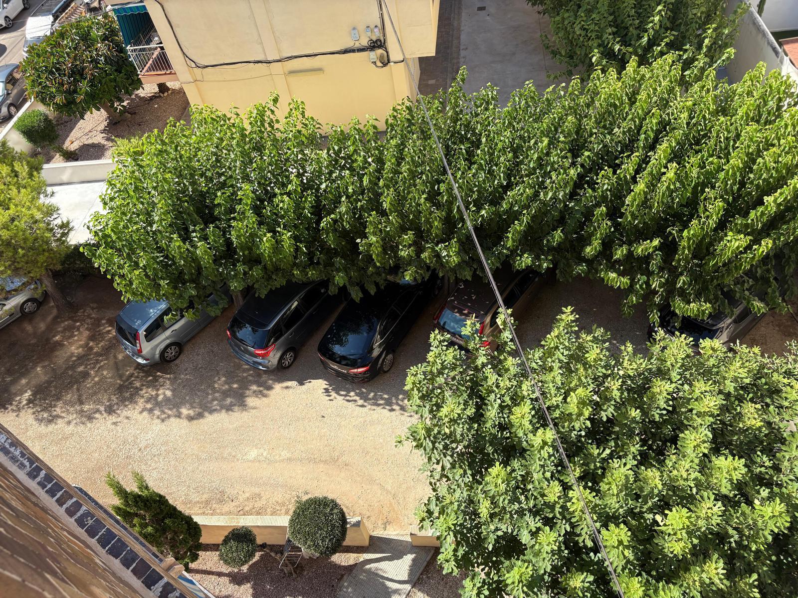 For sale - 2 Bedroom 1 Bathroom Apartment in Torrevieja - Costa Blanca  - Alicante