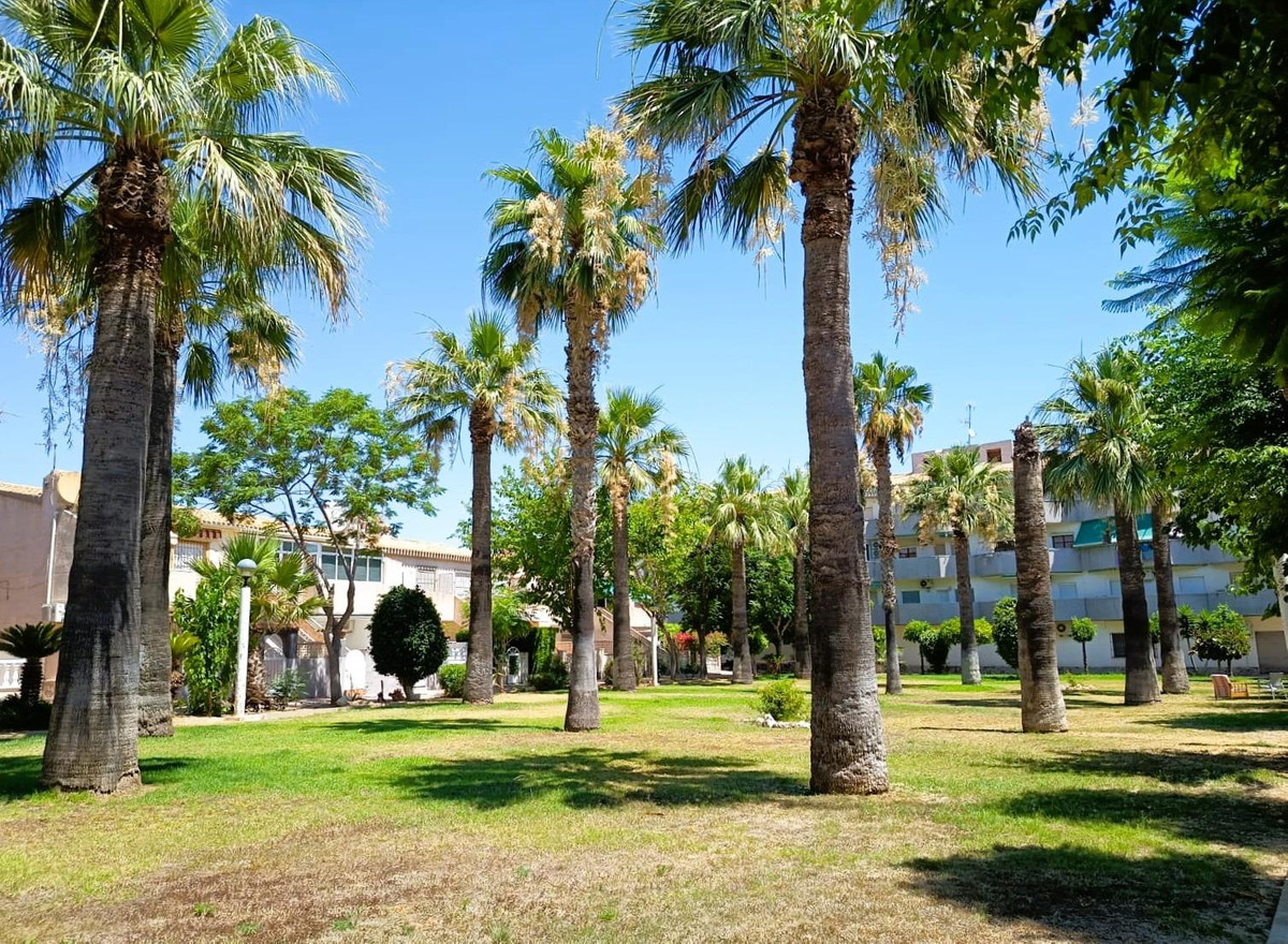 For sale - 2 Bedroom 1 Bathroom House - Bungalow in Orihuela - La Regia  - Alicante