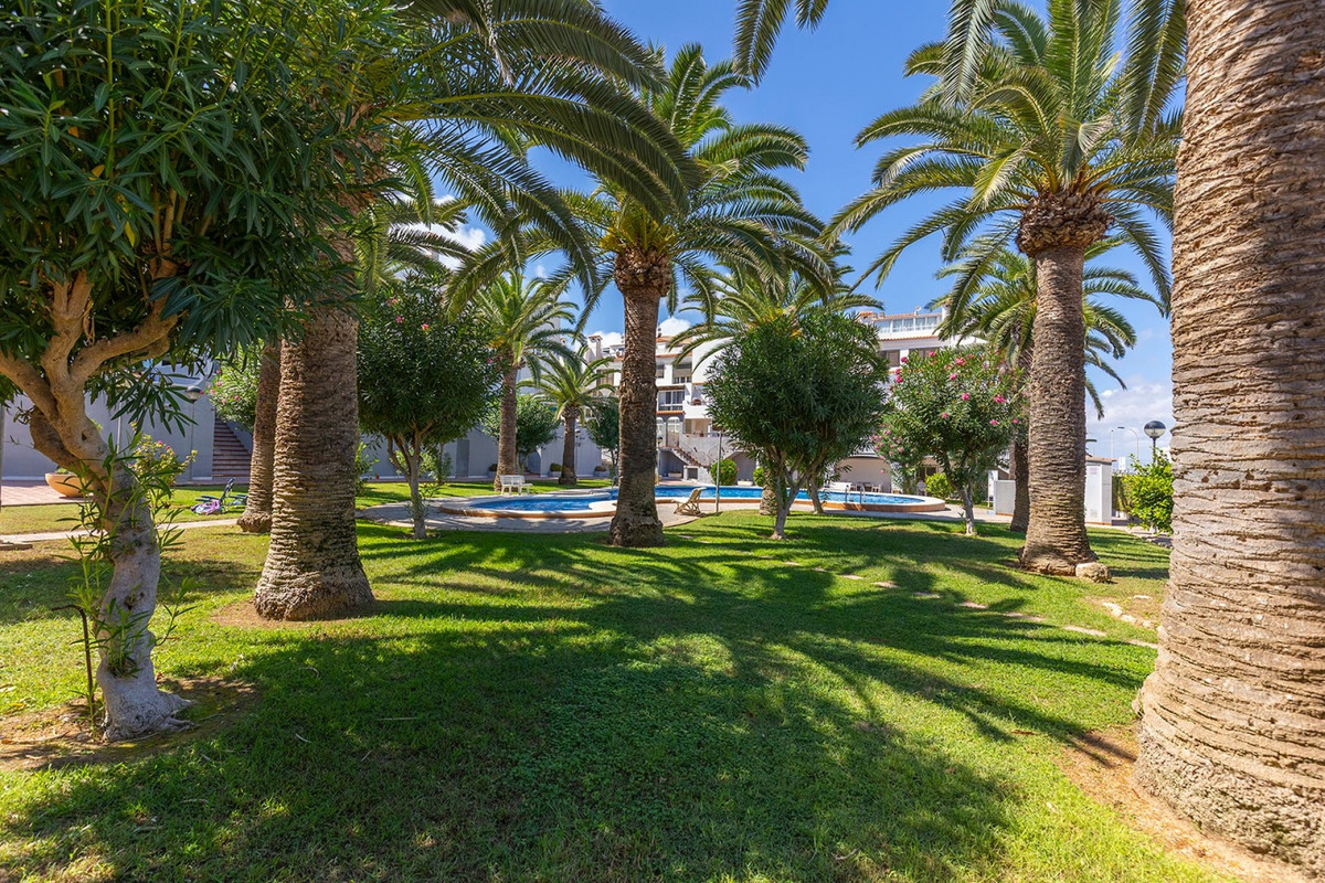 For sale - 1 Bedroom 1 Bathroom Apartment - Top Floor Apartment in Torrevieja - La Mata  - Alicante