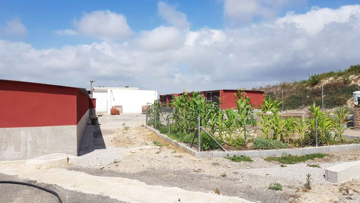 For sale - 2 Bedroom 2 Bathroom House - Finca - Cortijo in Los Montesinos - Los Montesinos Centro  - Alicante