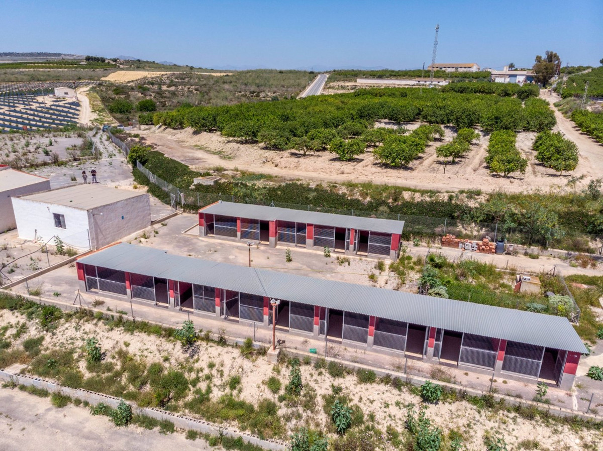 For sale - 2 Bedroom 2 Bathroom House - Finca - Cortijo in Los Montesinos - Los Montesinos Centro  - Alicante