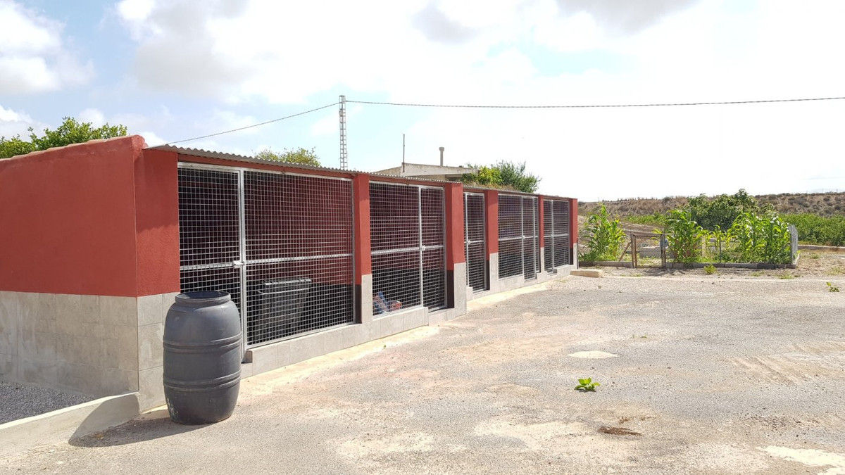For sale - 2 Bedroom 2 Bathroom House - Finca - Cortijo in Los Montesinos - Los Montesinos Centro  - Alicante