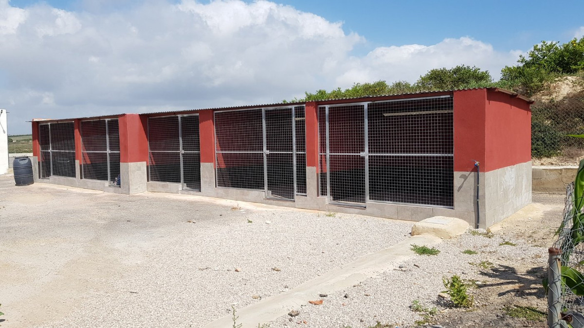 For sale - 2 Bedroom 2 Bathroom House - Finca - Cortijo in Los Montesinos - Los Montesinos Centro  - Alicante