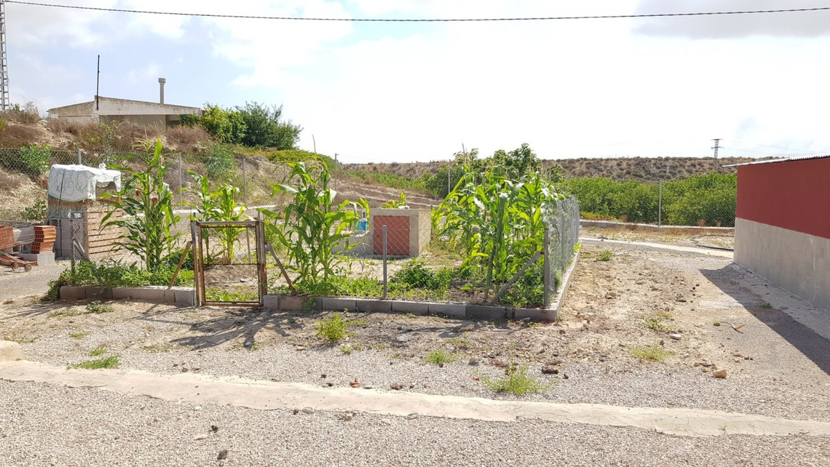 For sale - 2 Bedroom 2 Bathroom House - Finca - Cortijo in Los Montesinos - Los Montesinos Centro  - Alicante