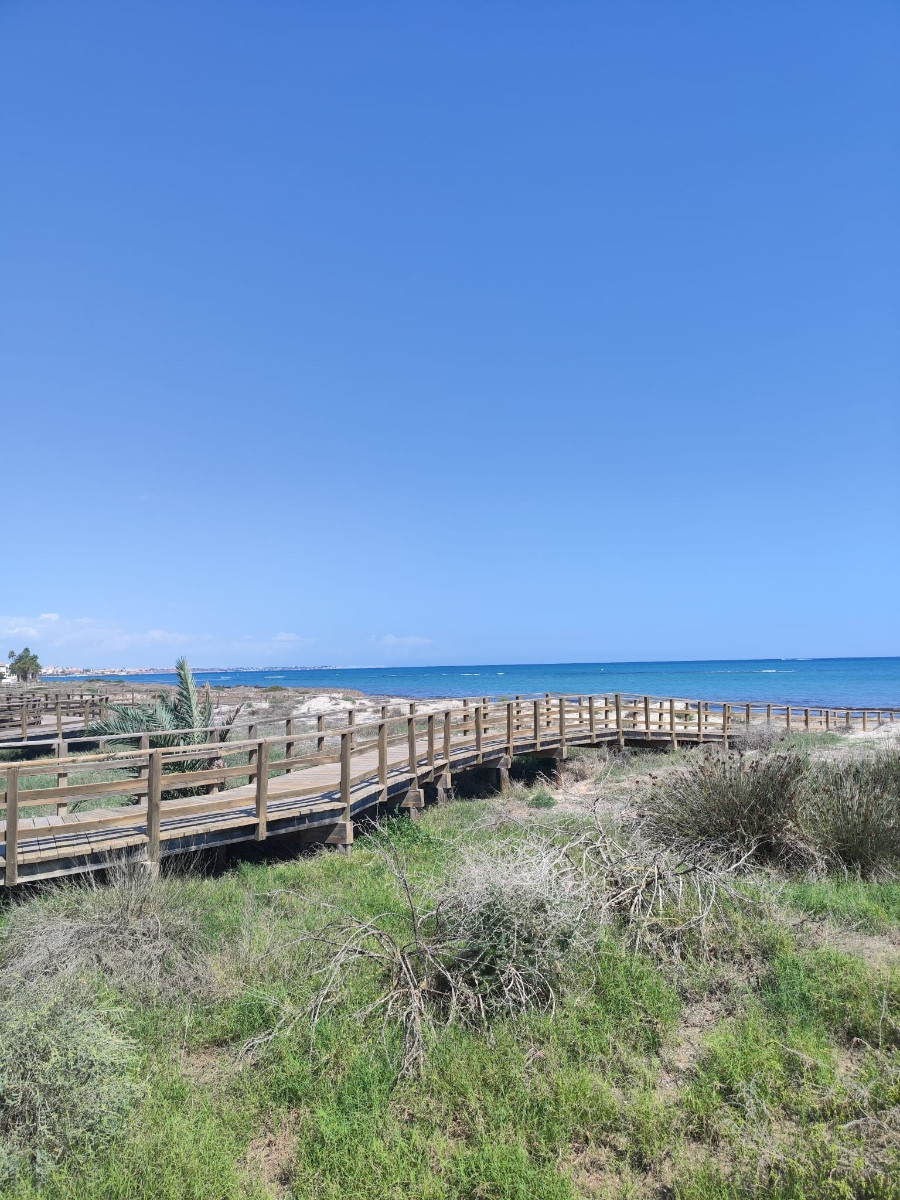 For sale - 2 Bedroom 2 Bathroom Apartment - Ground Floor Apartment in Pilar de la Horadada - El Mojón  - Alicante