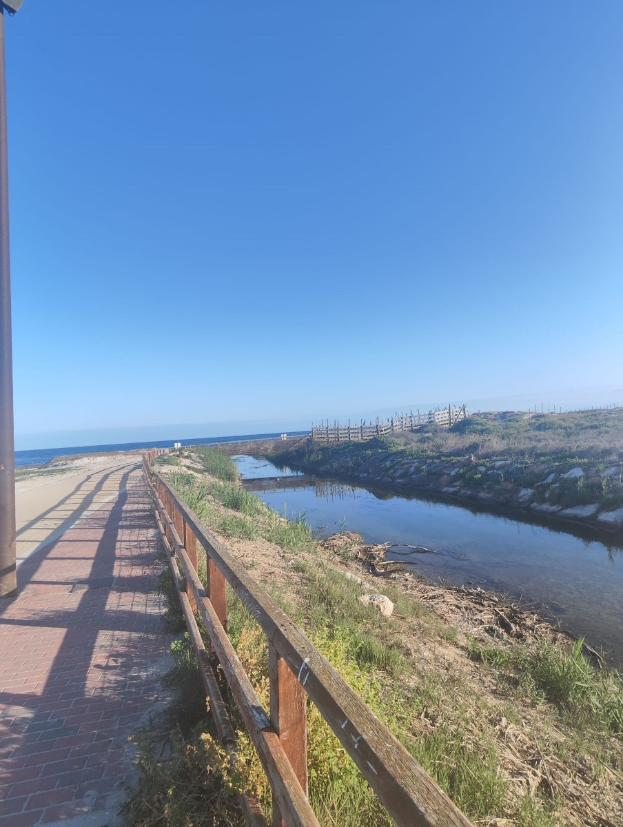 For sale - 2 Bedroom 2 Bathroom Apartment - Ground Floor Apartment in Pilar de la Horadada - El Mojón  - Alicante