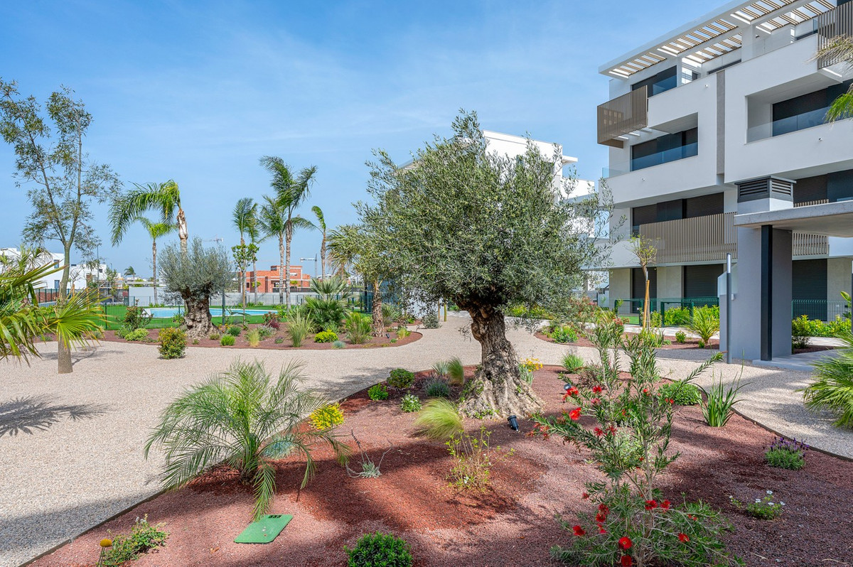 For sale - 2 Bedroom 2 Bathroom Apartment - Middle Floor Apartment in Torre-Pacheco - Torre-Pacheco Centro  - Murcia