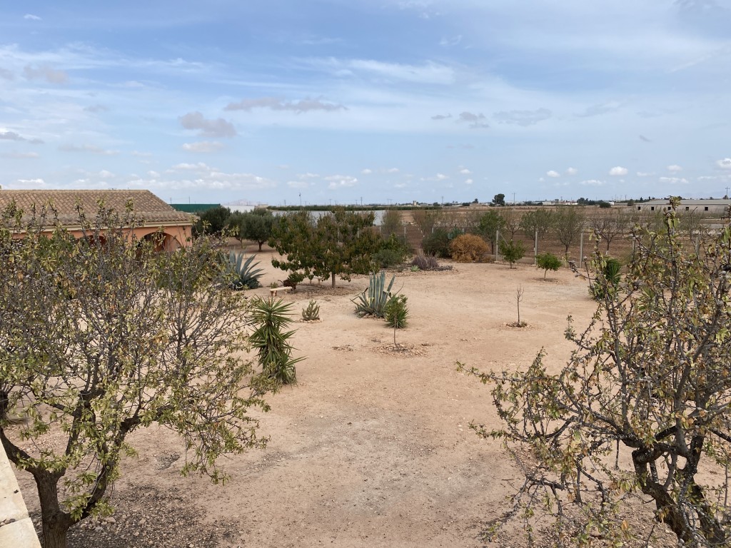 For sale - 4 Bedroom 3 Bathroom Town House in Fuente Alamo - Inland  - Murcia
