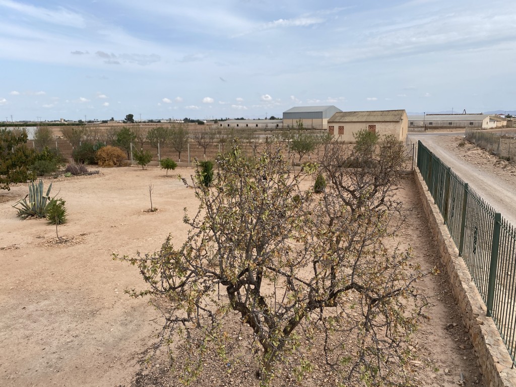 For sale - 4 Bedroom 3 Bathroom Town House in Fuente Alamo - Inland  - Murcia
