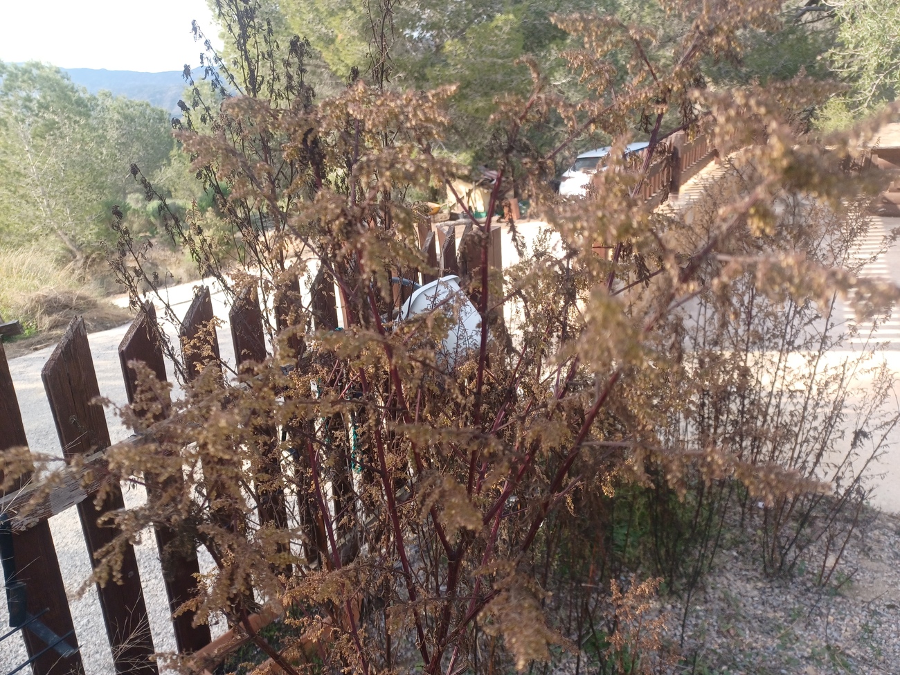 For sale - 3 Bedroom 2 Bathroom Finca in Gea Y Truyols - Inland  - Murcia