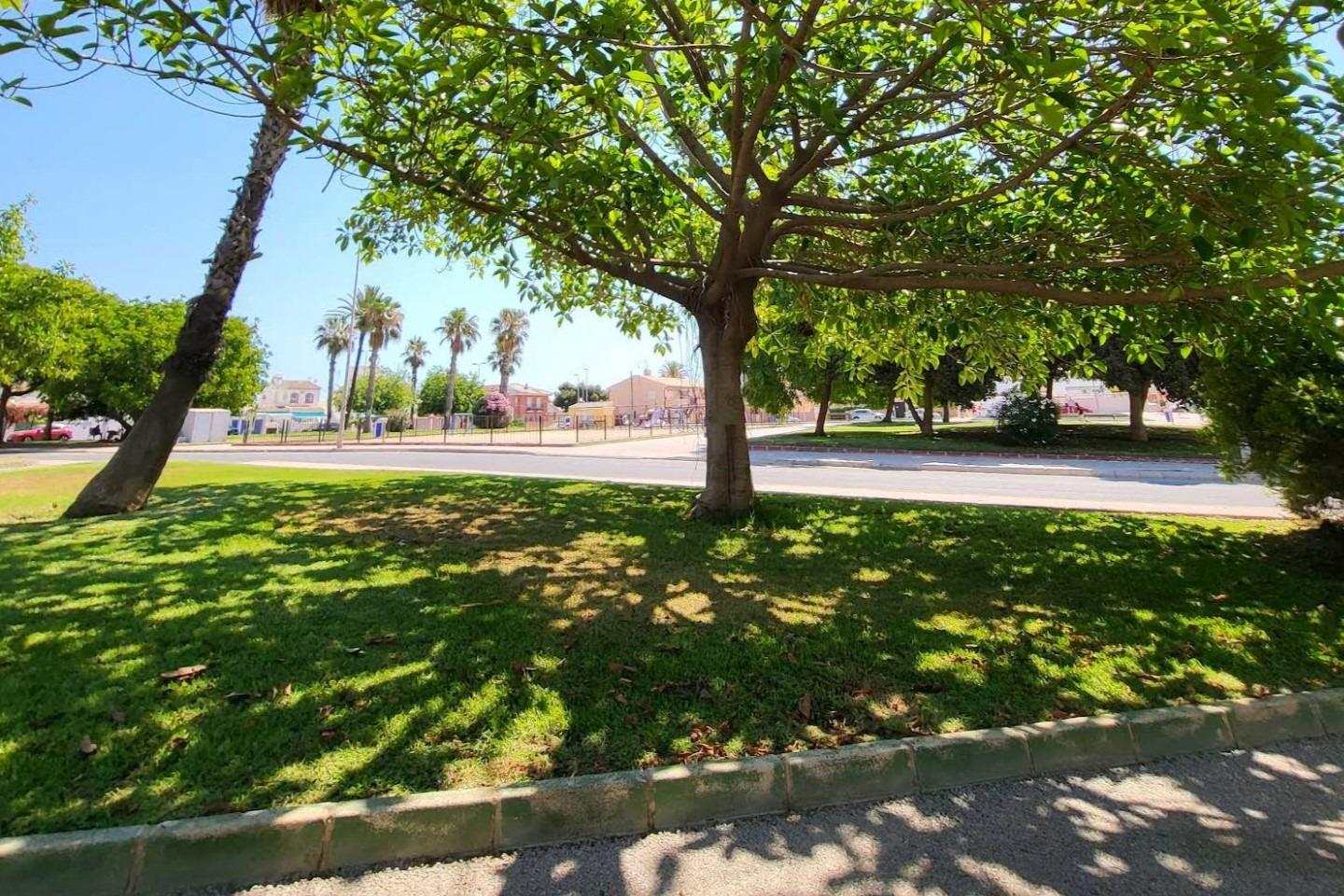 For sale - 2 Bedroom 1 Bathroom Apartment in Torrevieja - Playa De Los Locos  - Alicante