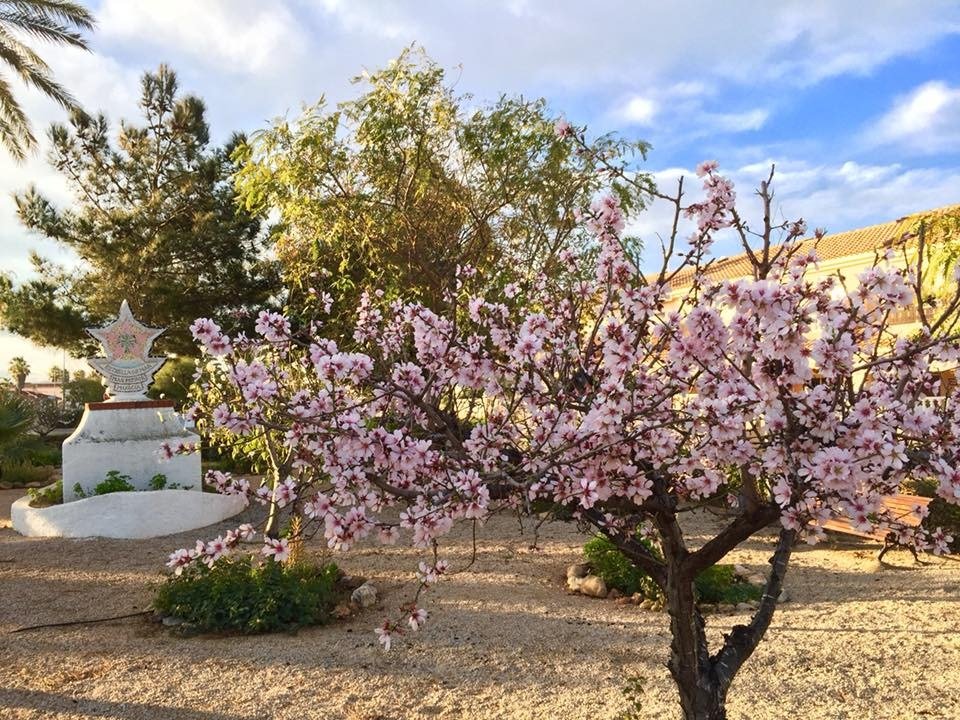 New Build - 3 Bedroom 3 Bathroom Villa in Los Urrutias - Estrella De Mar  - Murcia