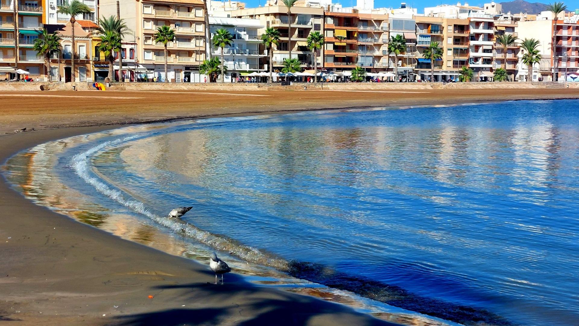 For sale - 2 Bedroom 2 Bathroom Apartment in Fuente Álamo - La Pinilla  - Murcia