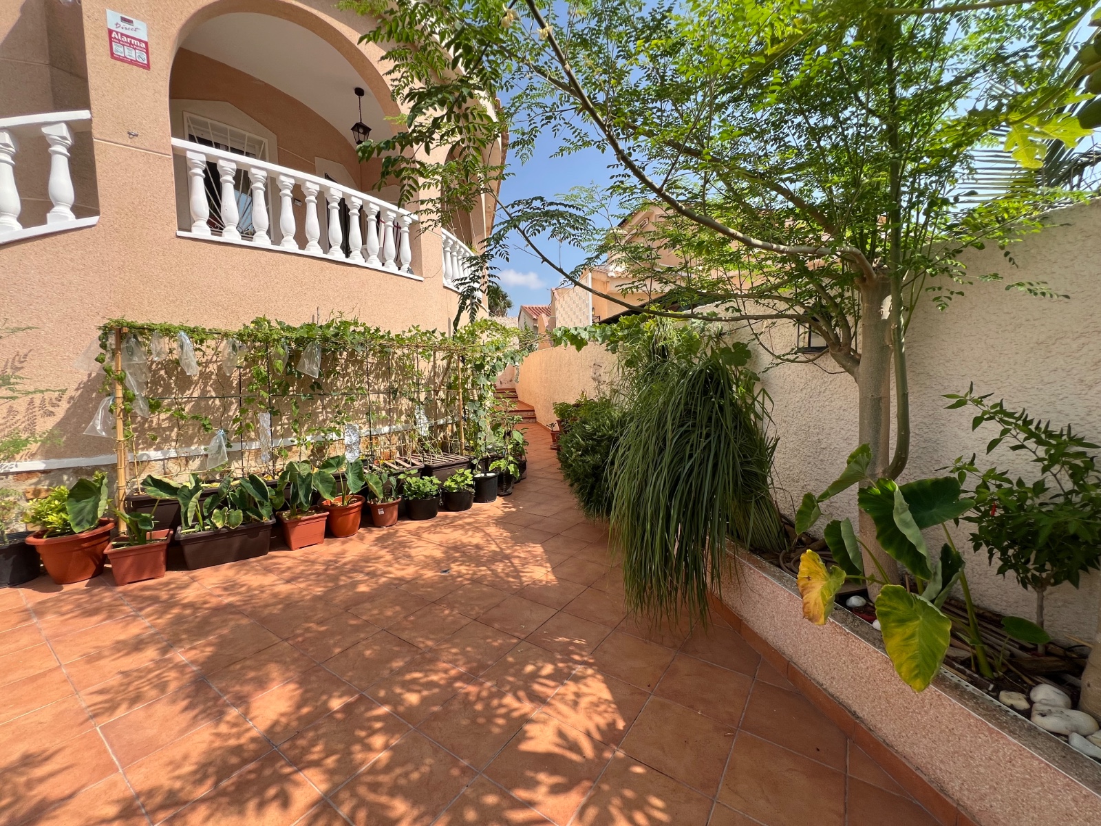 For sale - 2 Bedroom 1 Bathroom Villa in Ciudad Quesada - Costa Blanca  - Alicante